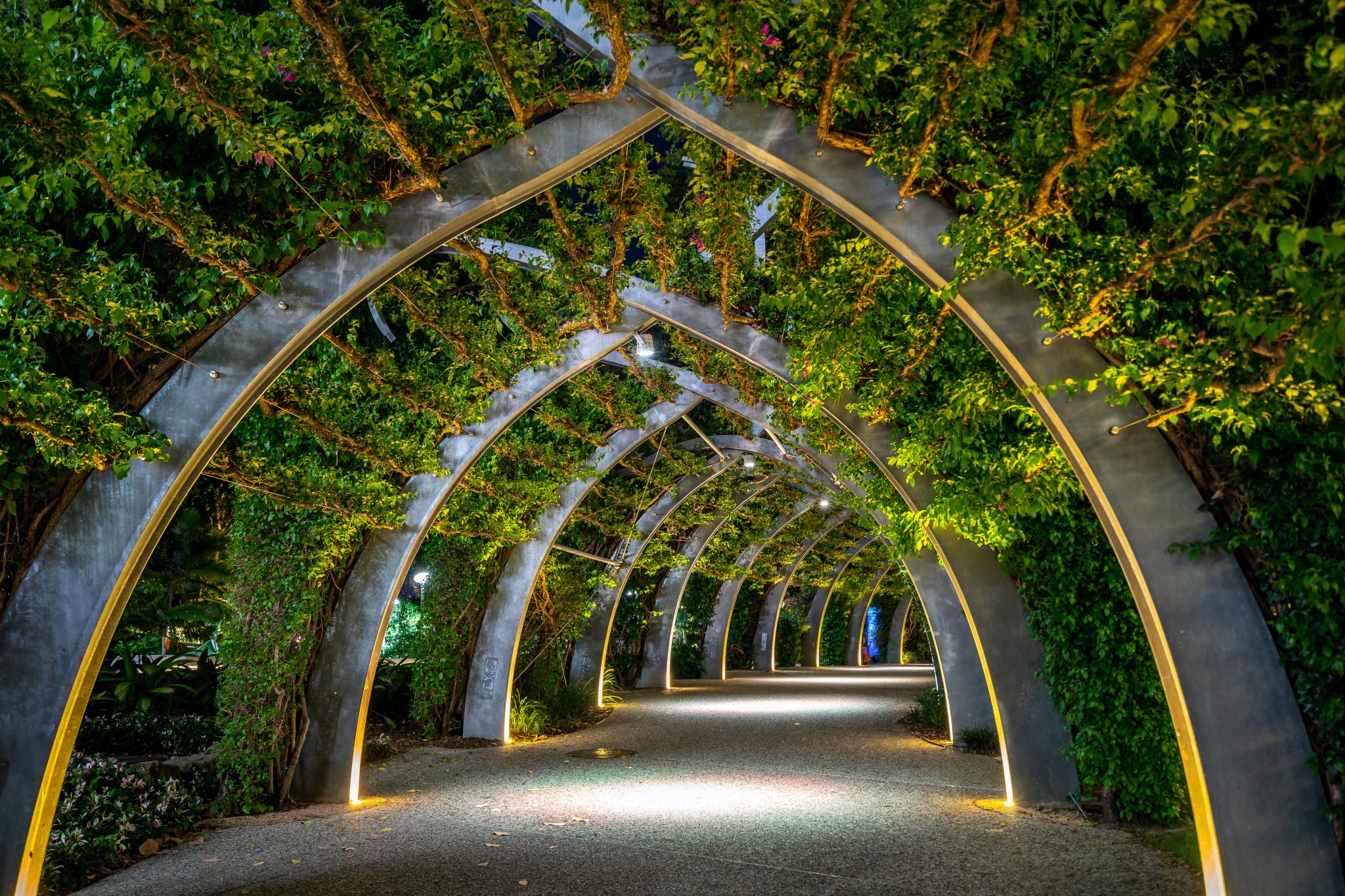 Evolving landscapes featured image