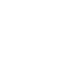 trophy icon_reverse